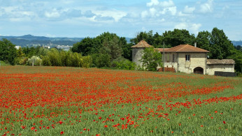 Tourists want to experience France's sophisticated culture, exquisite cuisine, fine wines, and, of course, romantic ambiance.