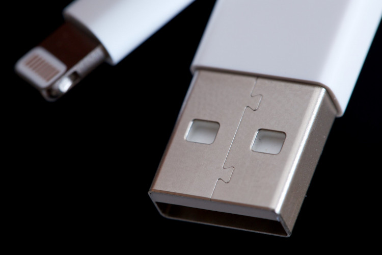Apple Lightning to USB Cable