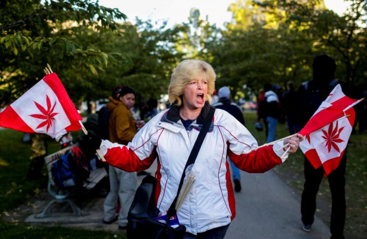 A woman waves flags on the day Canada legalizes recreational marijuana at Trinity Bellwoods Park
