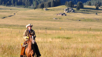 Fans might once again see the show's cast members but in a different form.