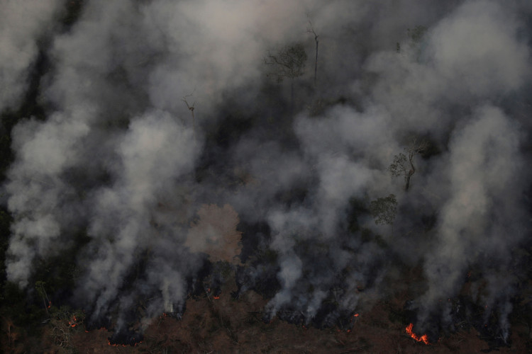 Amazon Wildfires Rage Across The Rainforest [PHOTOS]