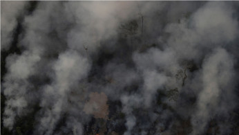 Amazon fires