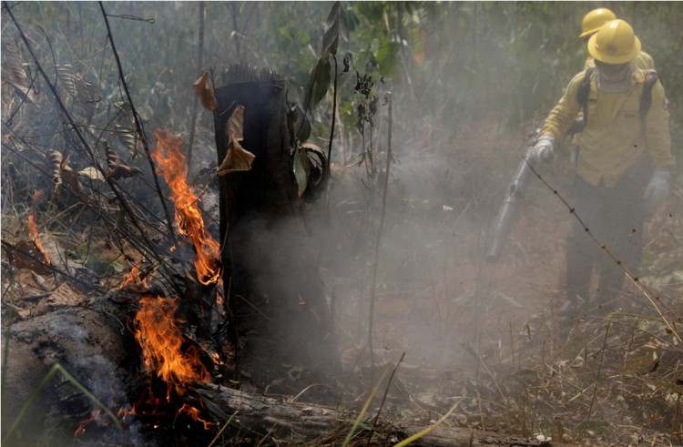 Amazon fires