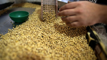 US Agricultural Exports