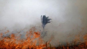 Tract of the Amazon jungle burns as it is cleared by loggers and farmers in Porto Velho