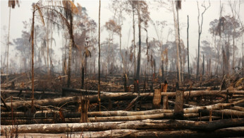 Amazon fires
