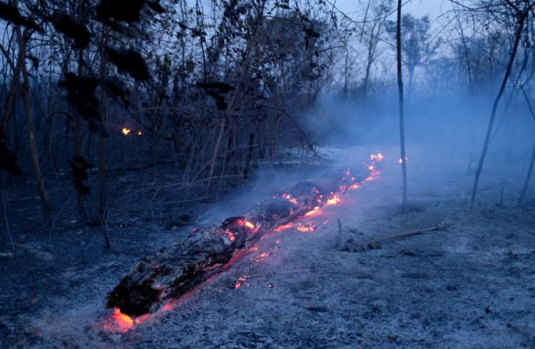 A tract of Amazon jungle burning is seen in Canarana