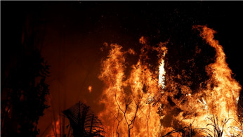 Amazon fires