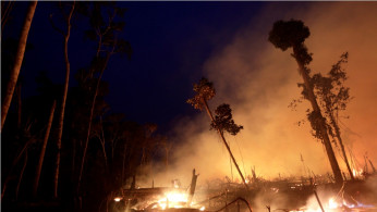 Amazon fires