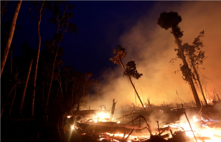 Amazon fires