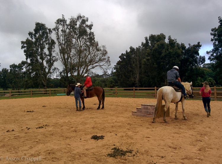 There will be new faces joining "Yellowstone" Season 3.