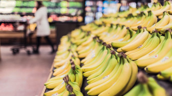 Photography of bananas. 