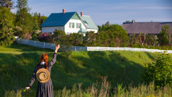 Fans are now excited for 