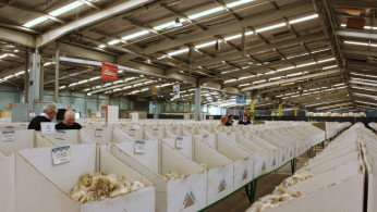 Traders buy bales of Australian wool at an auction in Yennora