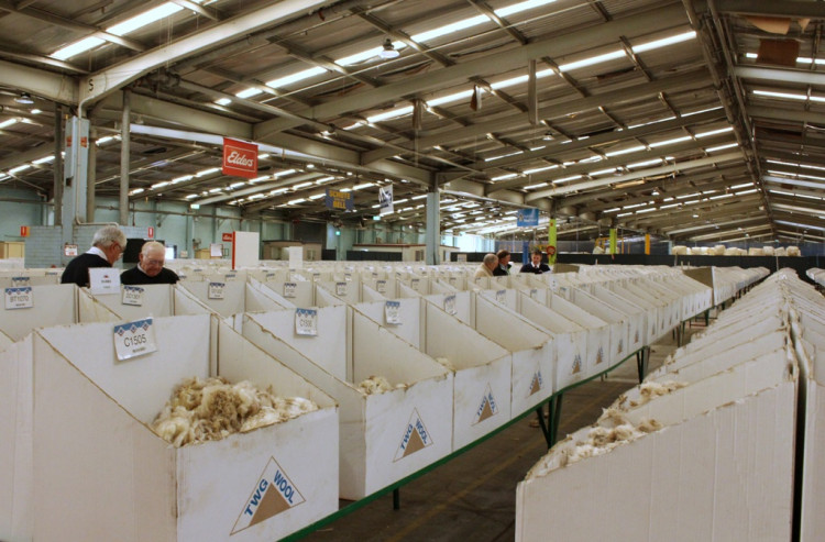 Traders buy bales of Australian wool at an auction in Yennora