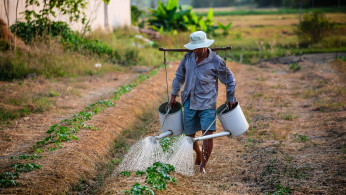 Man watering the plants during daytime.