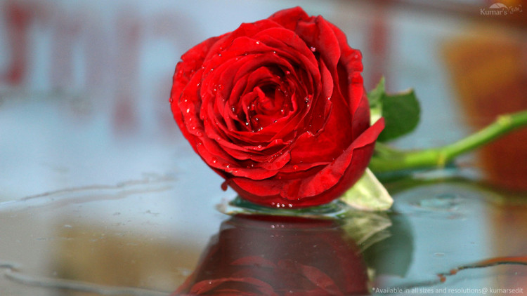 "The Bachelor" 2020 is coming, and there are strong rumors Peter Weber will be the next bachelor.