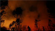 Indonesia forest fires