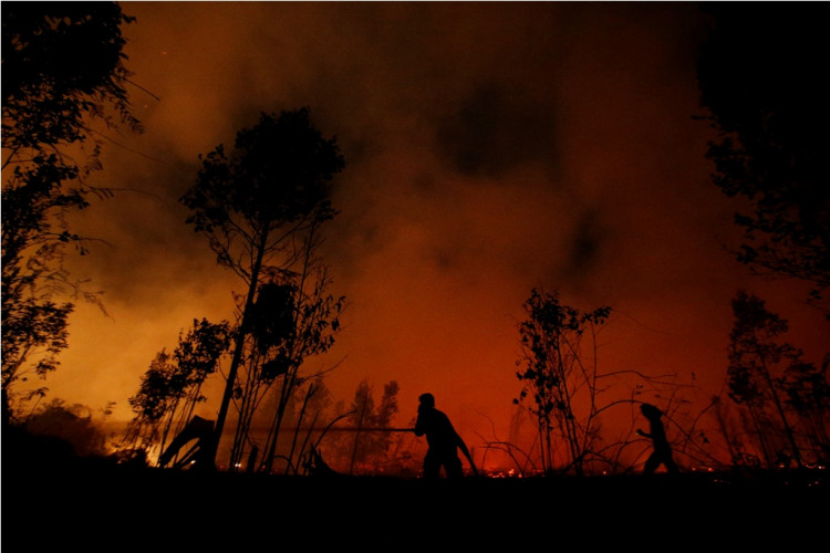 Indonesia forest fires